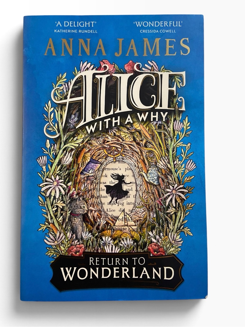 Alice with a Why Return to Wonderland Anna James Paperback Book